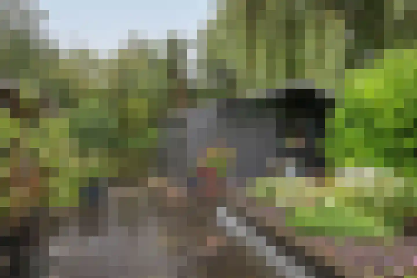 Lindenlaan 46 Heerhugowaard thumbnail 29
