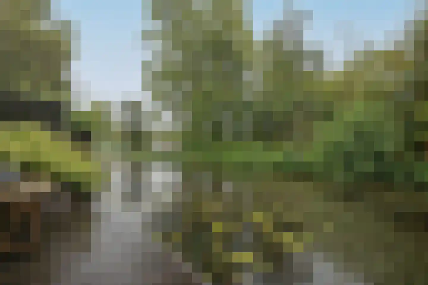 Lindenlaan 46 Heerhugowaard thumbnail 30