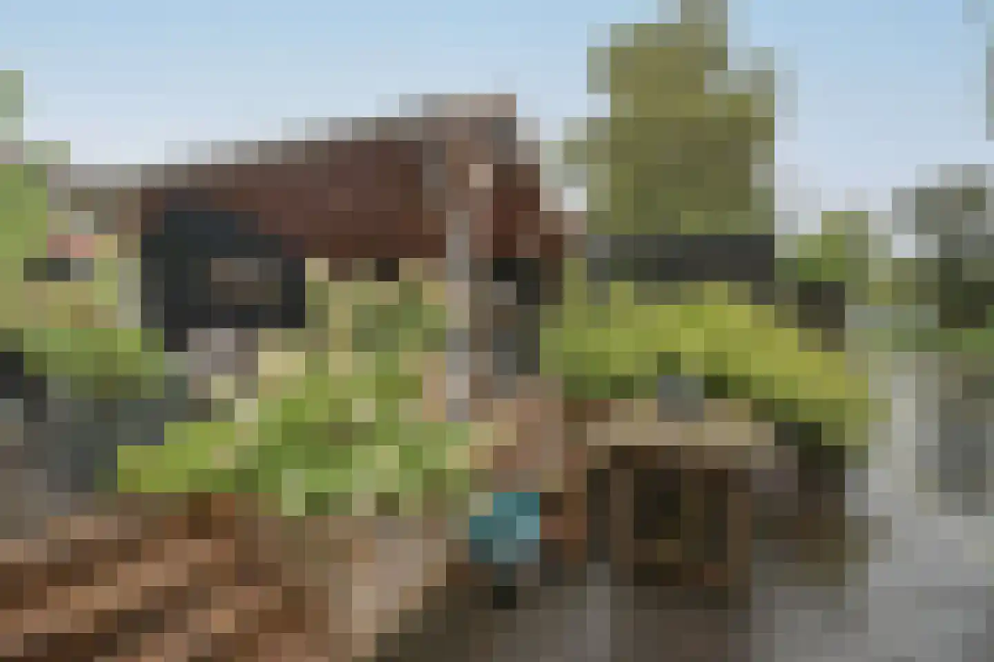 Lindenlaan 46 Heerhugowaard thumbnail 31