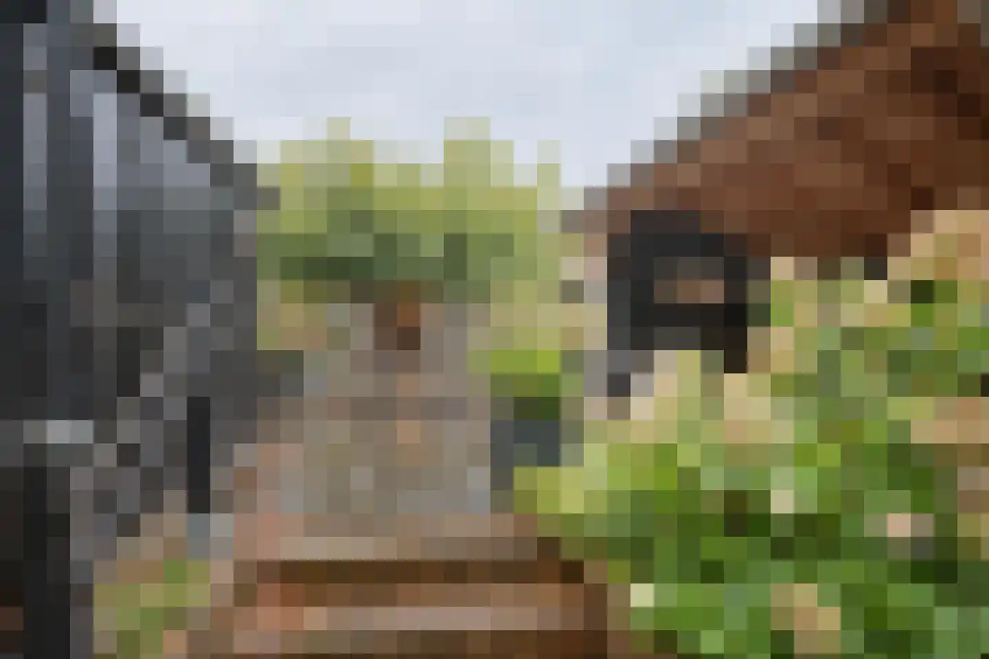 Lindenlaan 46 Heerhugowaard thumbnail 32