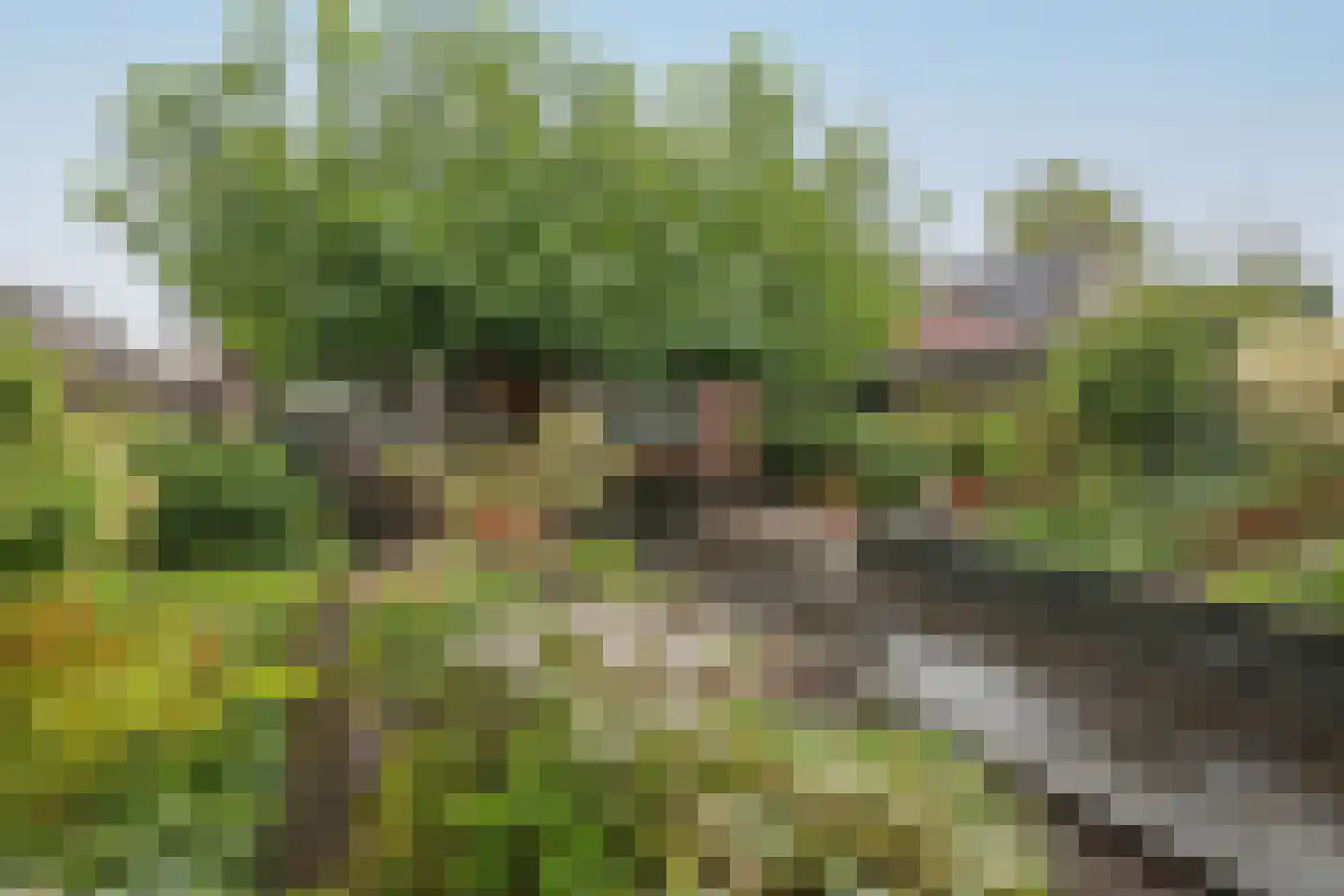 Lindenlaan 46 Heerhugowaard thumbnail 34