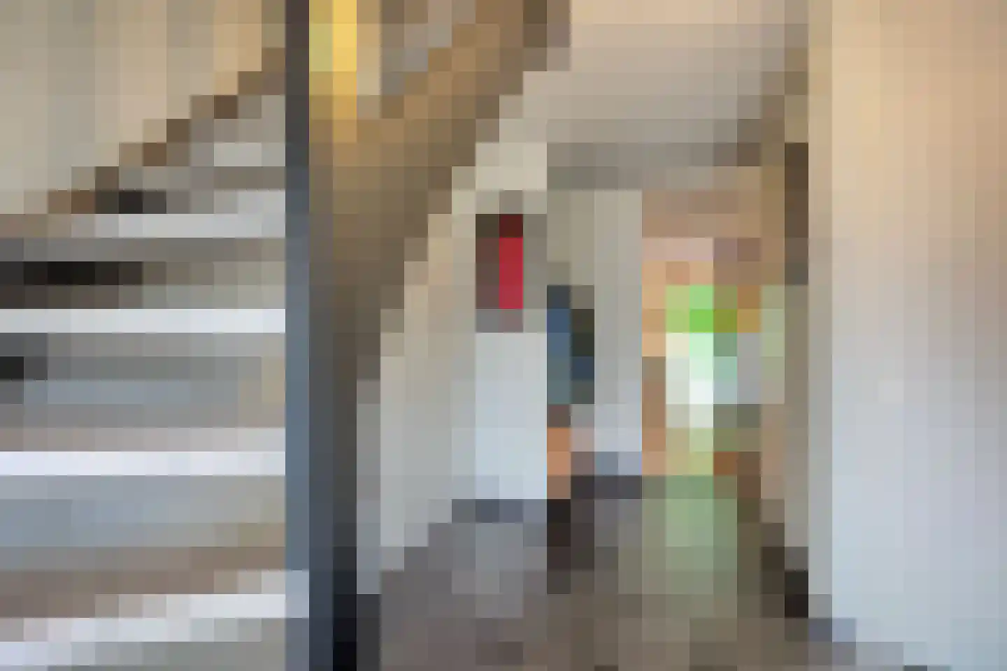 Lindenlaan 46 Heerhugowaard thumbnail 37