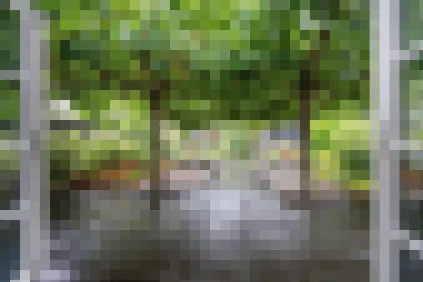 Lindenlaan 46 Heerhugowaard thumbnail 4