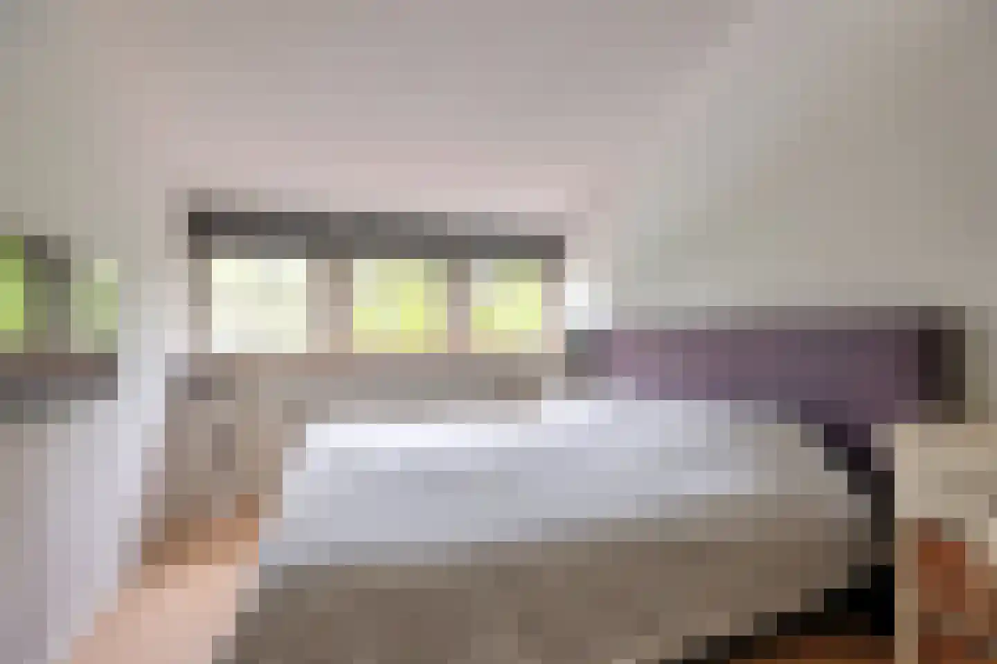 Lindenlaan 46 Heerhugowaard thumbnail 43