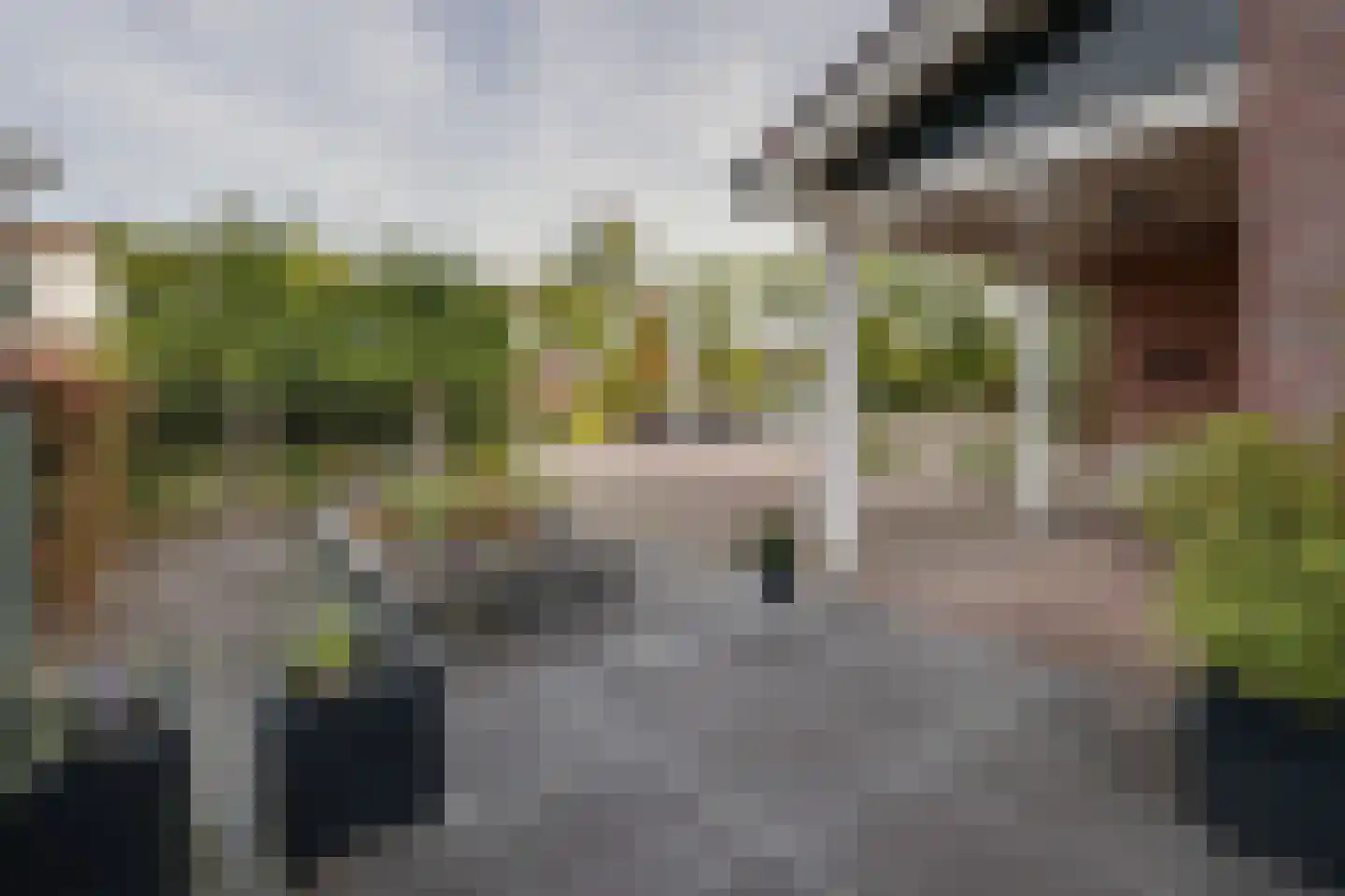 Lindenlaan 46 Heerhugowaard thumbnail 59