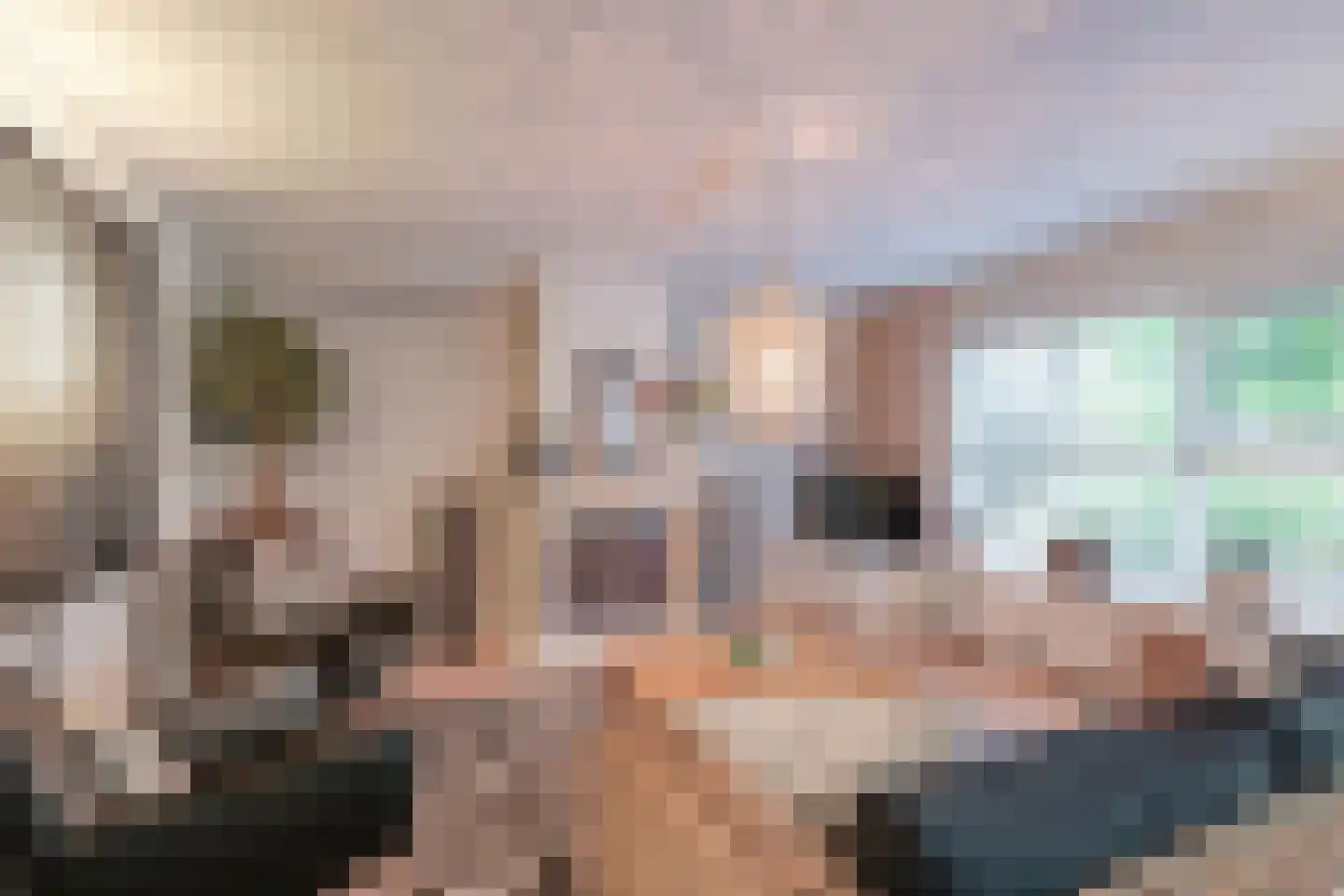 Lindenlaan 46 Heerhugowaard thumbnail 6
