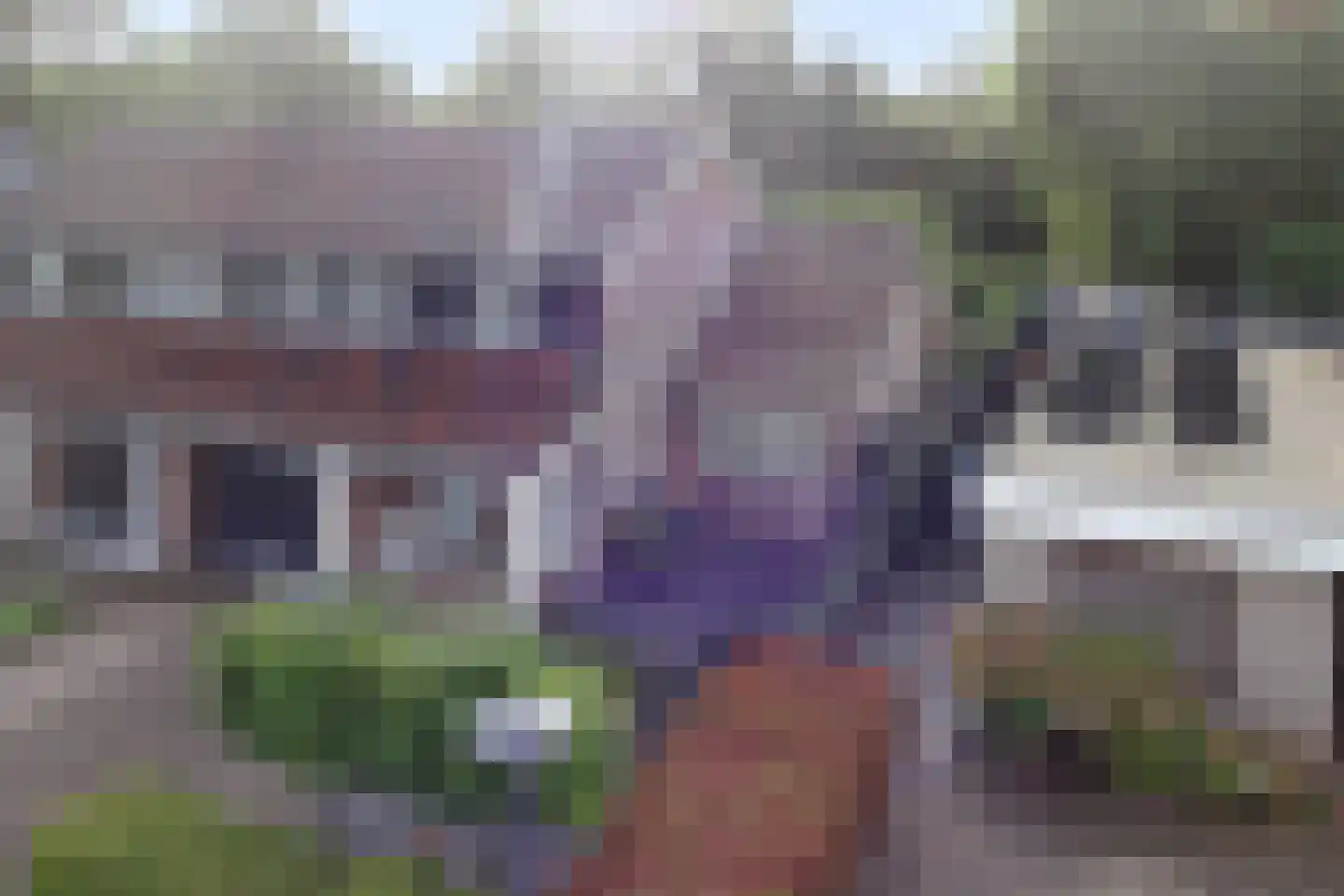 Lindenlaan 46 Heerhugowaard thumbnail 62