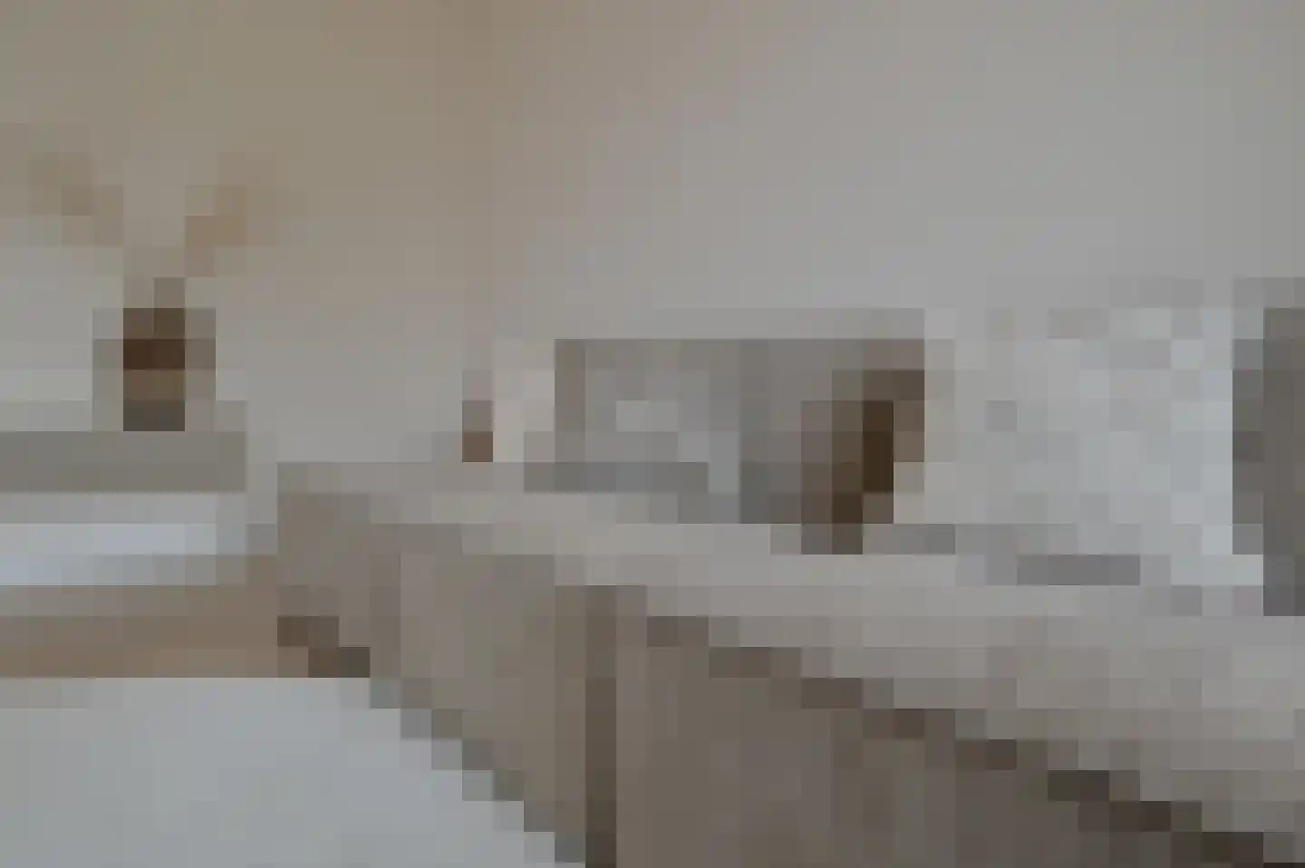 Lindenlaan 473 Amstelveen thumbnail 10