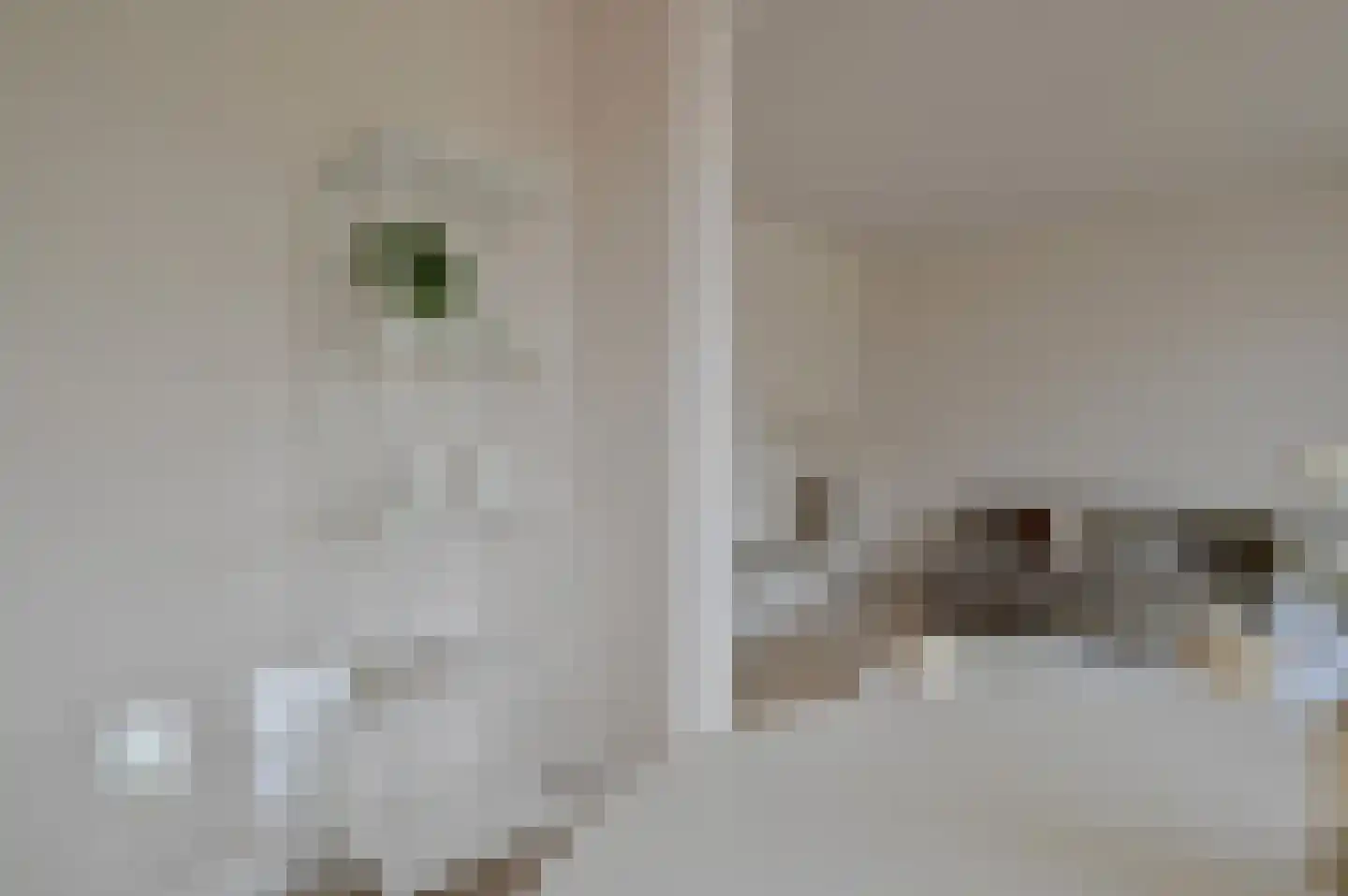 Lindenlaan 473 Amstelveen thumbnail 13