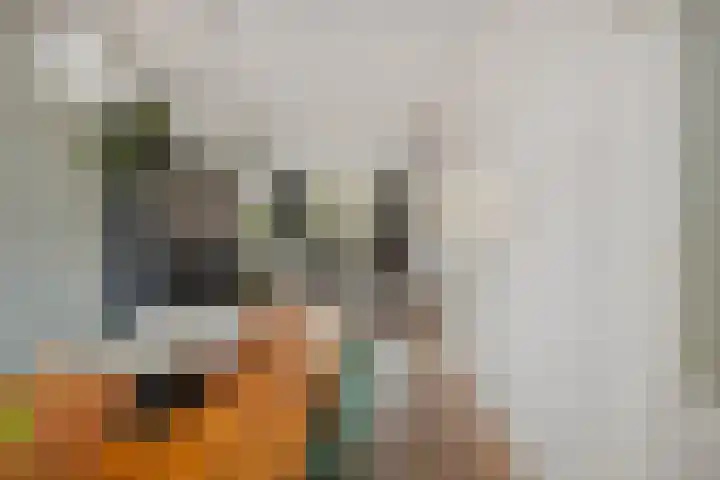 Lindenlaan 48 Alkmaar thumbnail 10