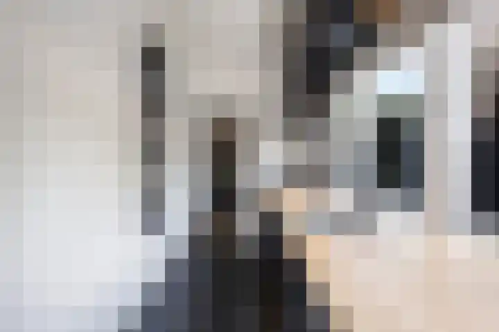 Lindenlaan 48 Alkmaar thumbnail 12