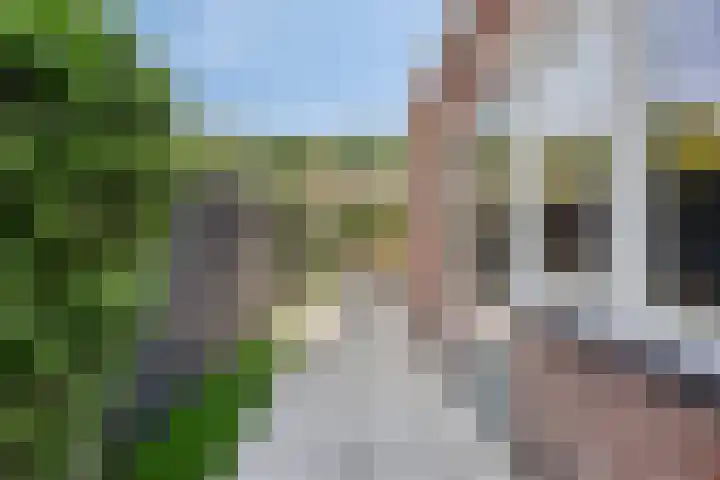 Lindenlaan 48 Alkmaar thumbnail 16