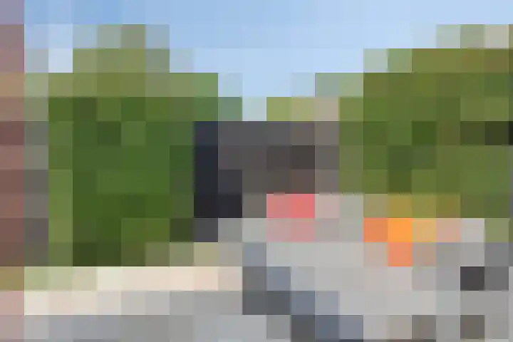 Lindenlaan 48 Alkmaar thumbnail 18