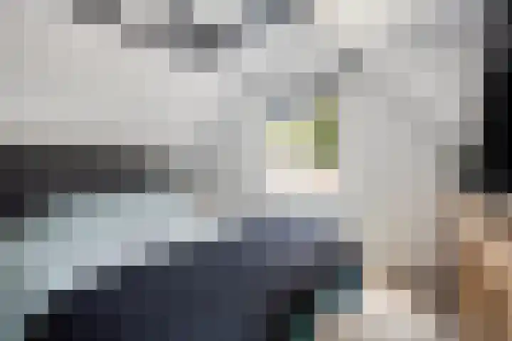 Lindenlaan 48 Alkmaar thumbnail 21