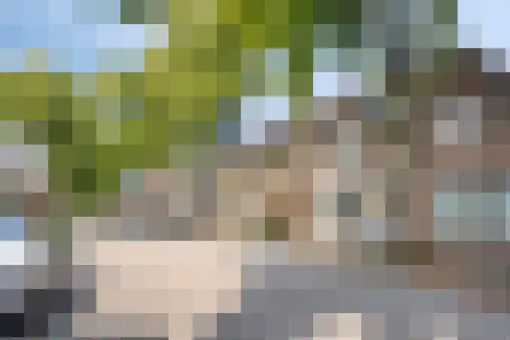 Lindenlaan 48 Alkmaar thumbnail 5
