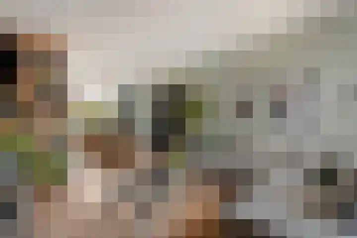 Lindenlaan 48 Alkmaar thumbnail 8
