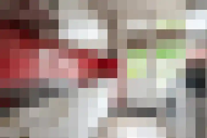 Lindenlaan 48 Staphorst thumbnail 11