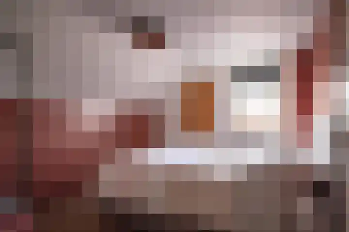 Lindenlaan 48 Staphorst thumbnail 13