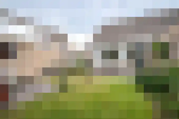 Lindenlaan 48 Staphorst thumbnail 19
