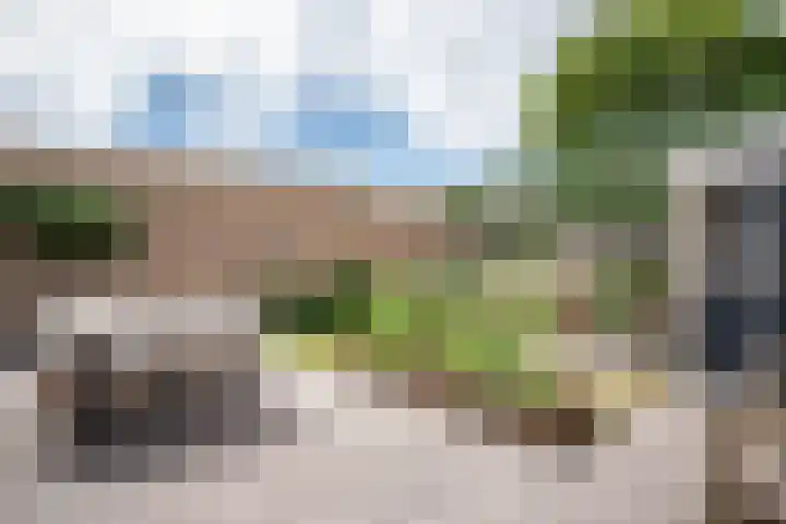 Lindenlaan 48 Staphorst thumbnail 20