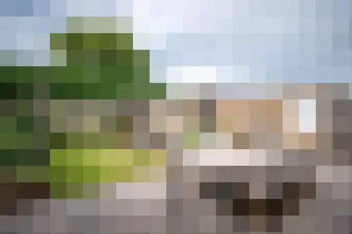 Lindenlaan 48 Staphorst thumbnail 21