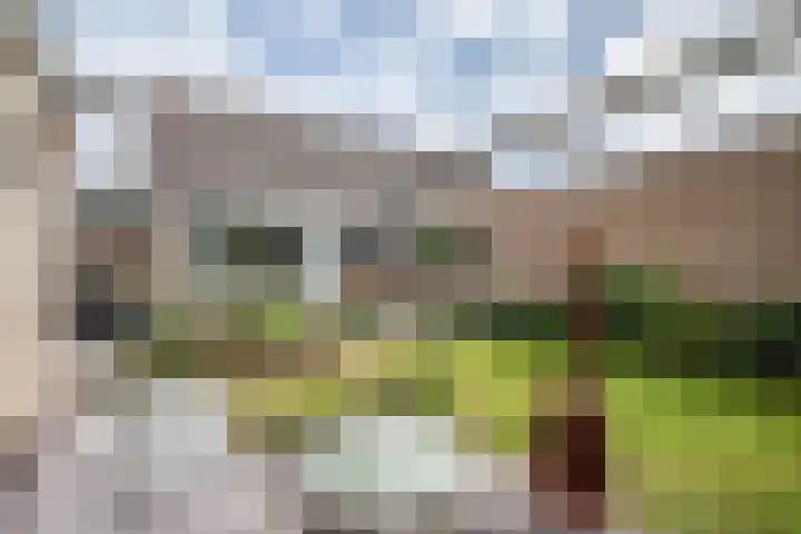 Lindenlaan 48 Staphorst thumbnail 22