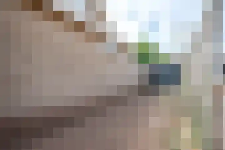 Lindenlaan 48 Staphorst thumbnail 23