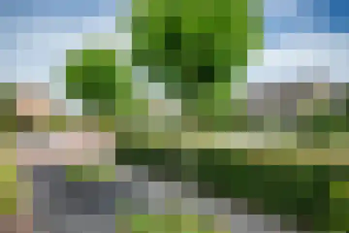 Lindenlaan 48 Staphorst thumbnail 24