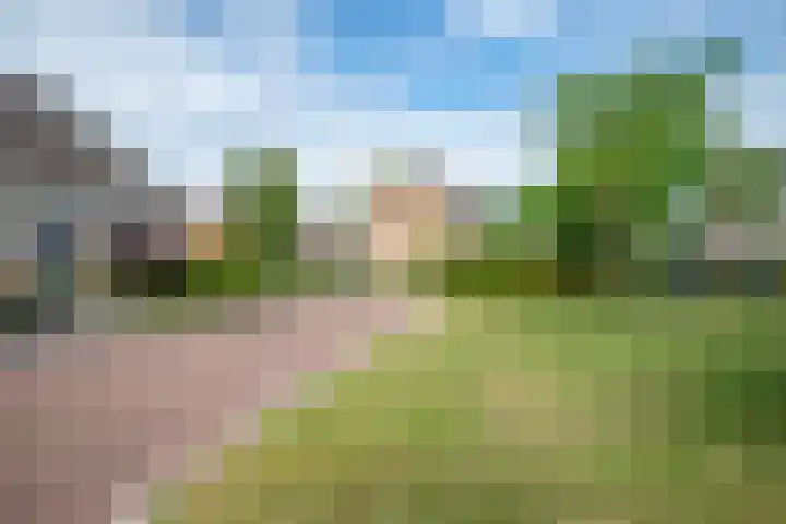 Lindenlaan 48 Staphorst thumbnail 25
