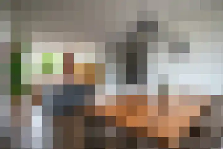 Lindenlaan 48 Staphorst thumbnail 6