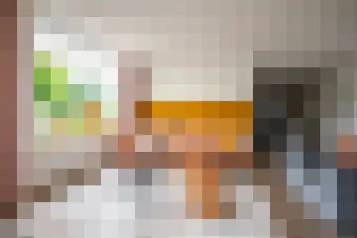 Lindenlaan 48 Staphorst thumbnail 7