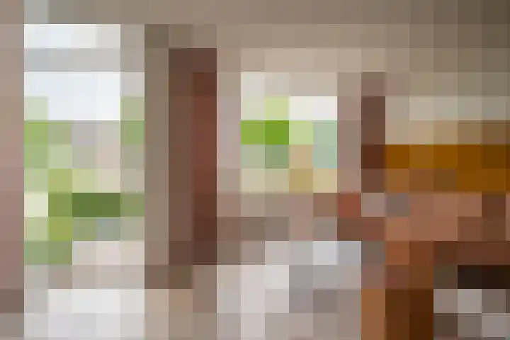 Lindenlaan 48 Staphorst thumbnail 8