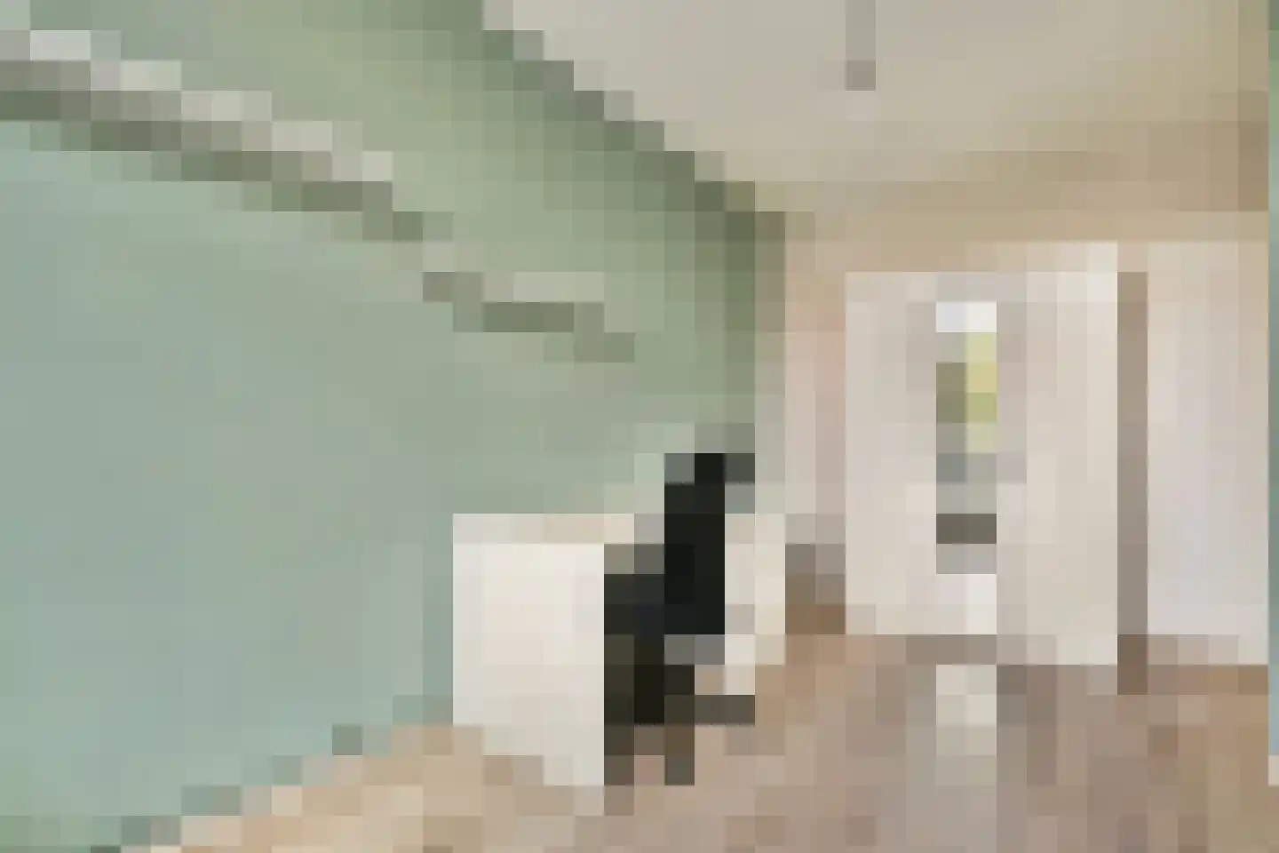 Lindenlaan 489 Amstelveen thumbnail 17