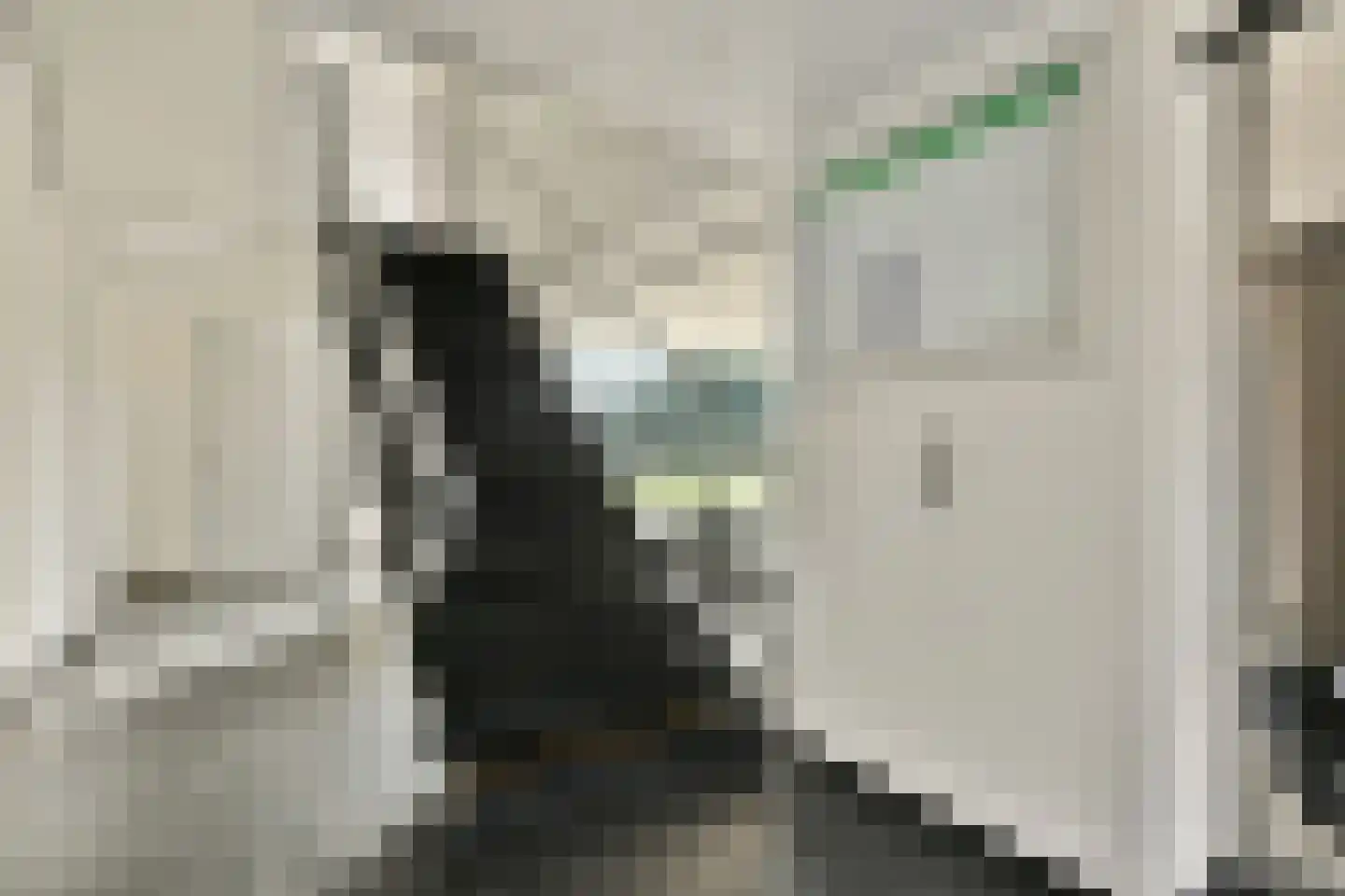 Lindenlaan 489 Amstelveen thumbnail 22