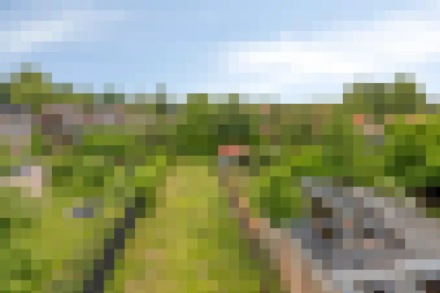 Lindenlaan 5 Deurne thumbnail 35