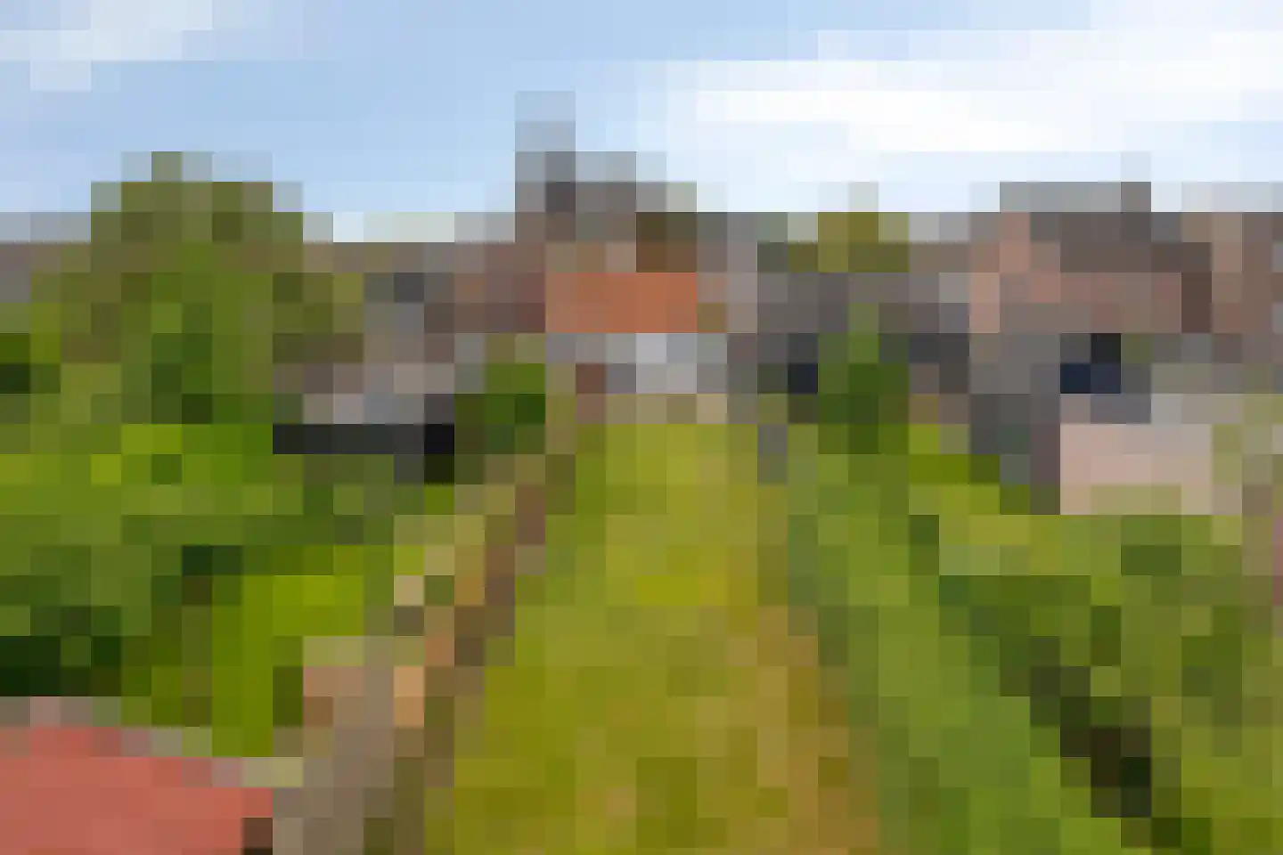 Lindenlaan 5 Deurne thumbnail 4