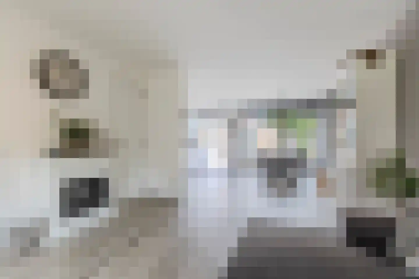 Lindenlaan 5 Driebruggen thumbnail 14