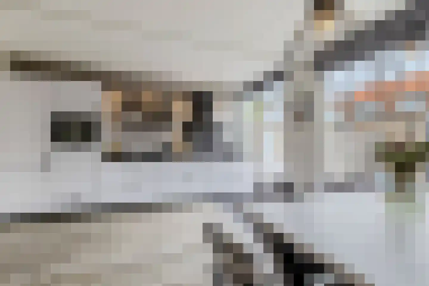 Lindenlaan 5 Driebruggen thumbnail 16