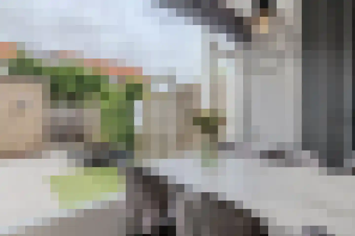 Lindenlaan 5 Driebruggen thumbnail 20