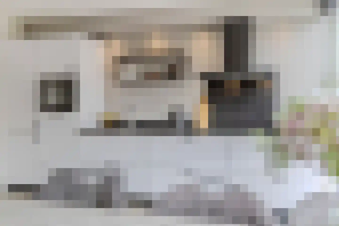 Lindenlaan 5 Driebruggen thumbnail 21