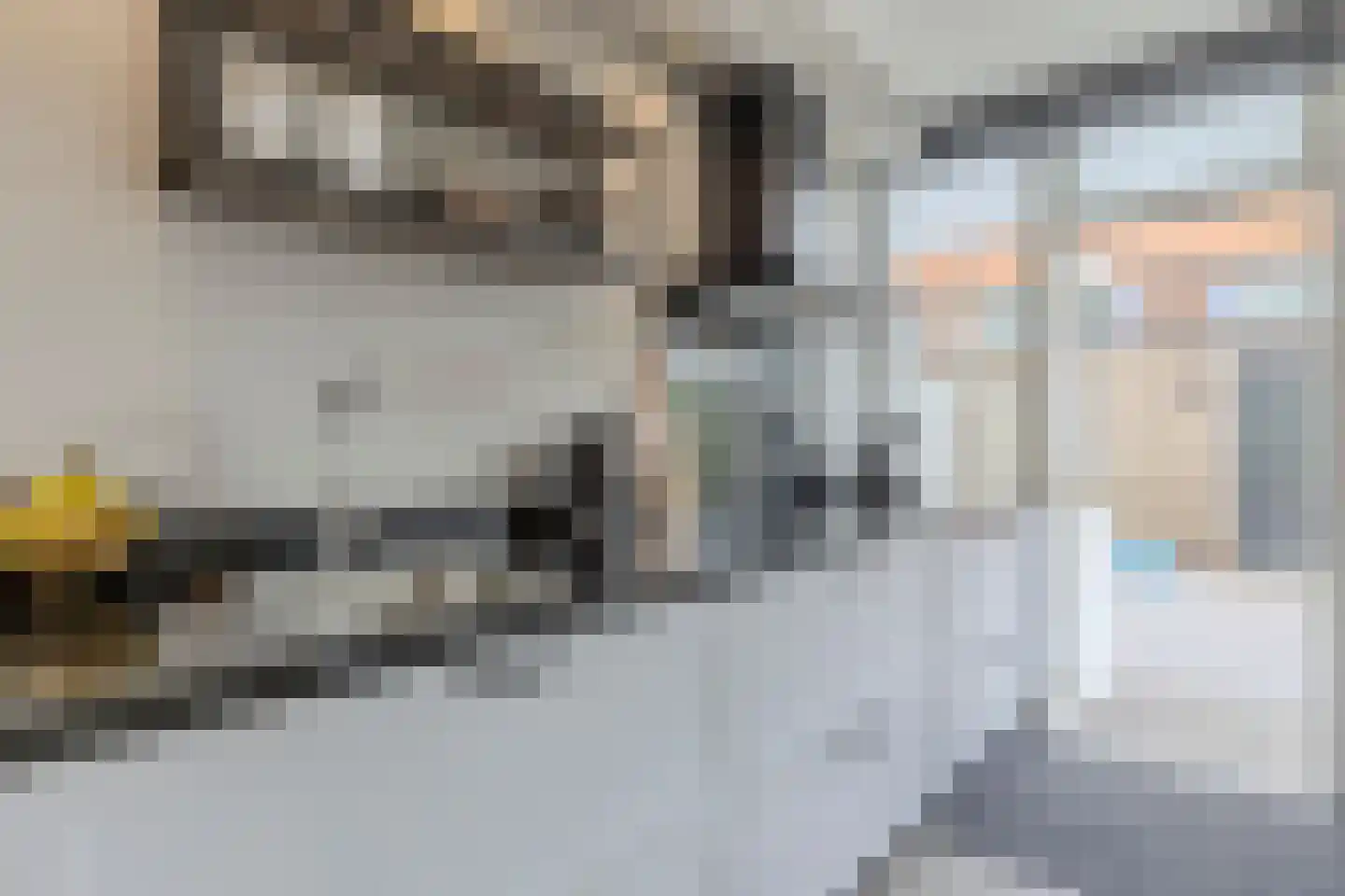 Lindenlaan 5 Driebruggen thumbnail 22