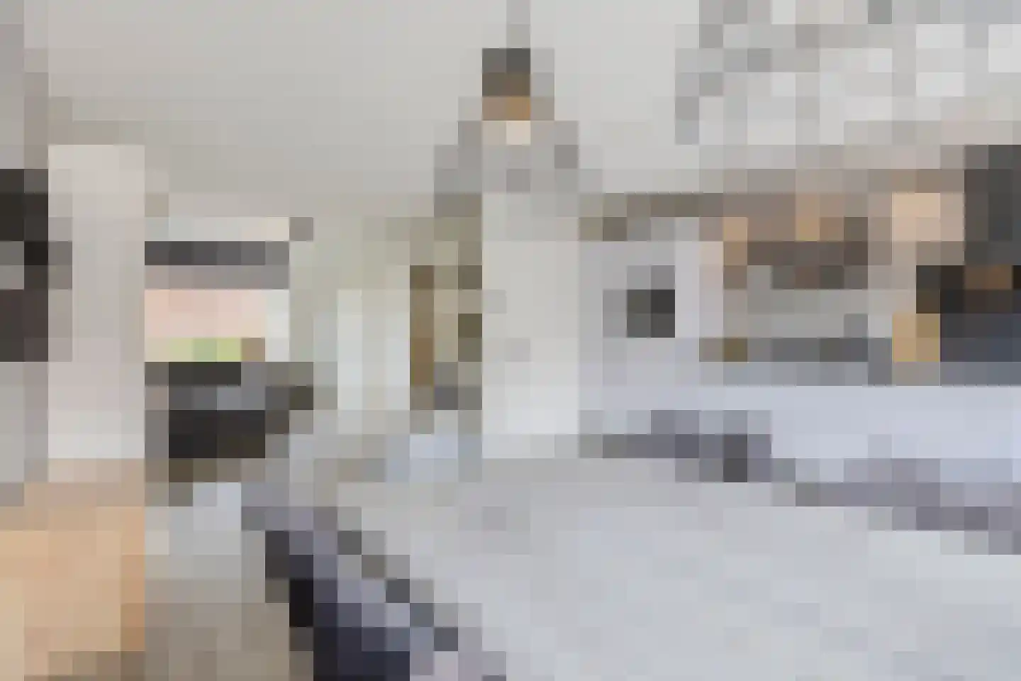 Lindenlaan 5 Driebruggen thumbnail 24