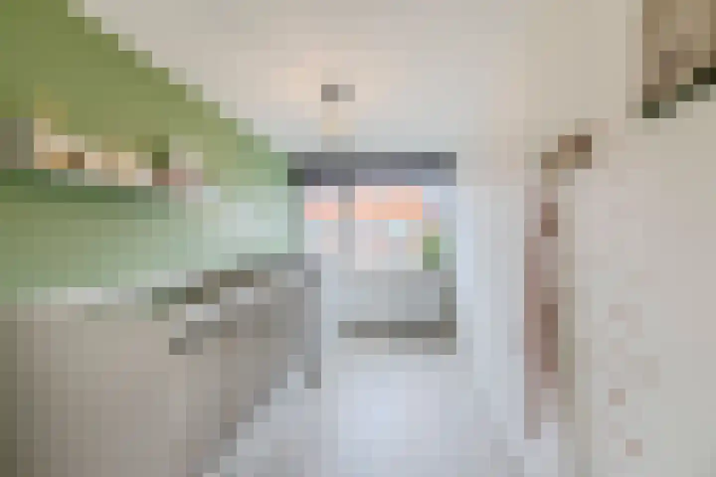 Lindenlaan 5 Driebruggen thumbnail 26