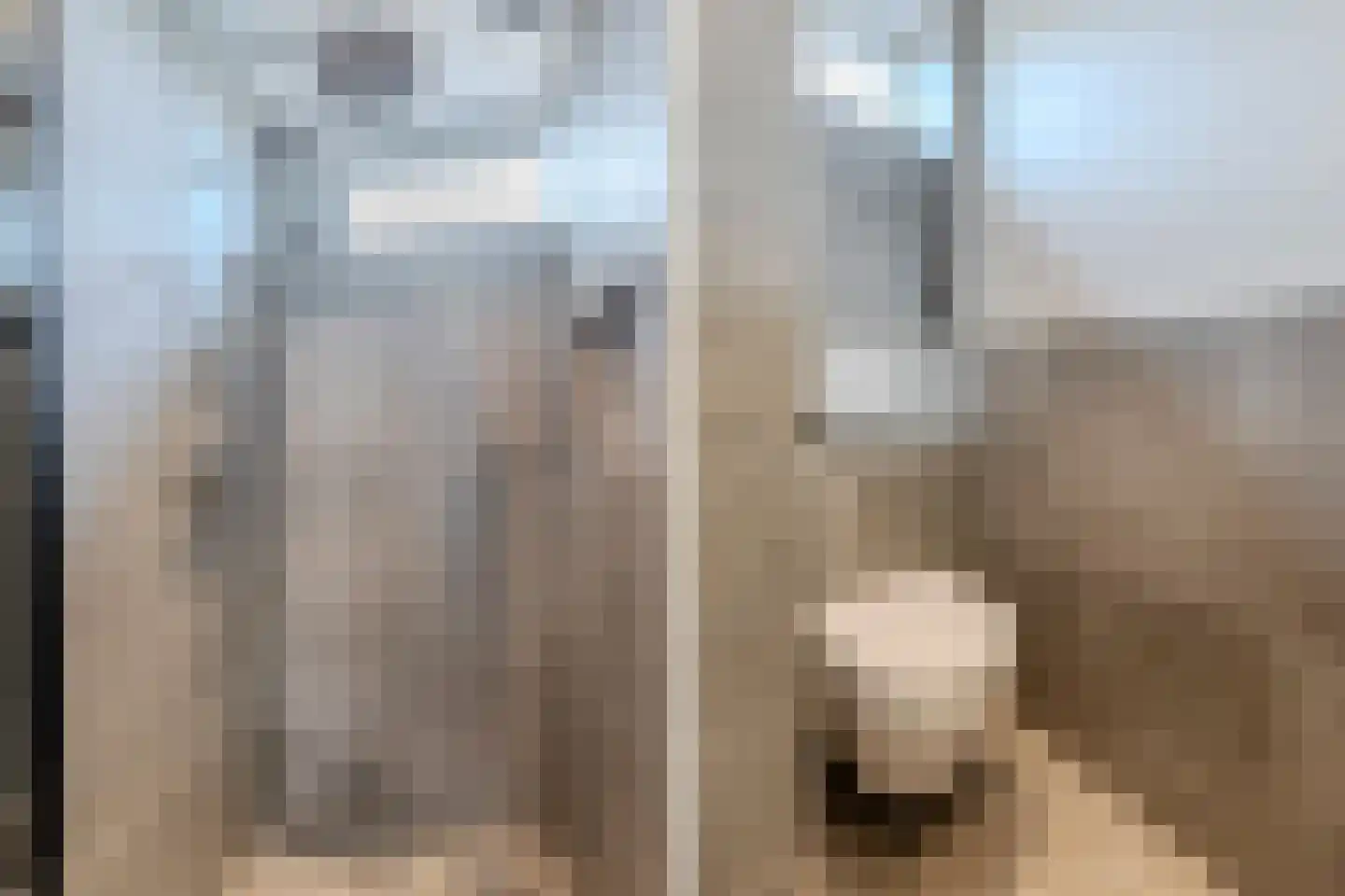 Lindenlaan 5 Driebruggen thumbnail 4