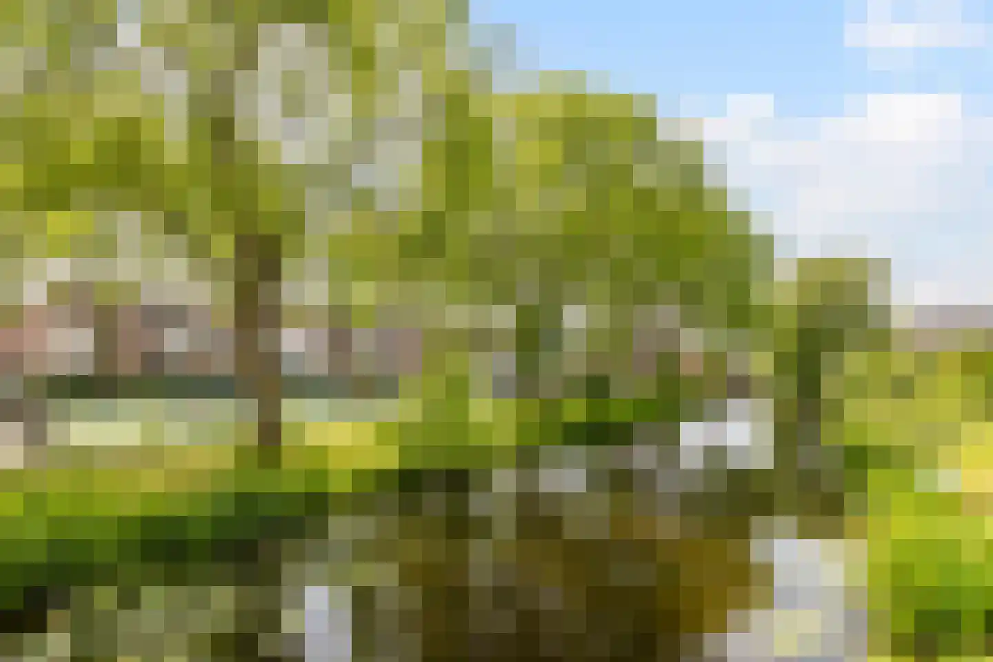 Lindenlaan 5 Driebruggen thumbnail 42