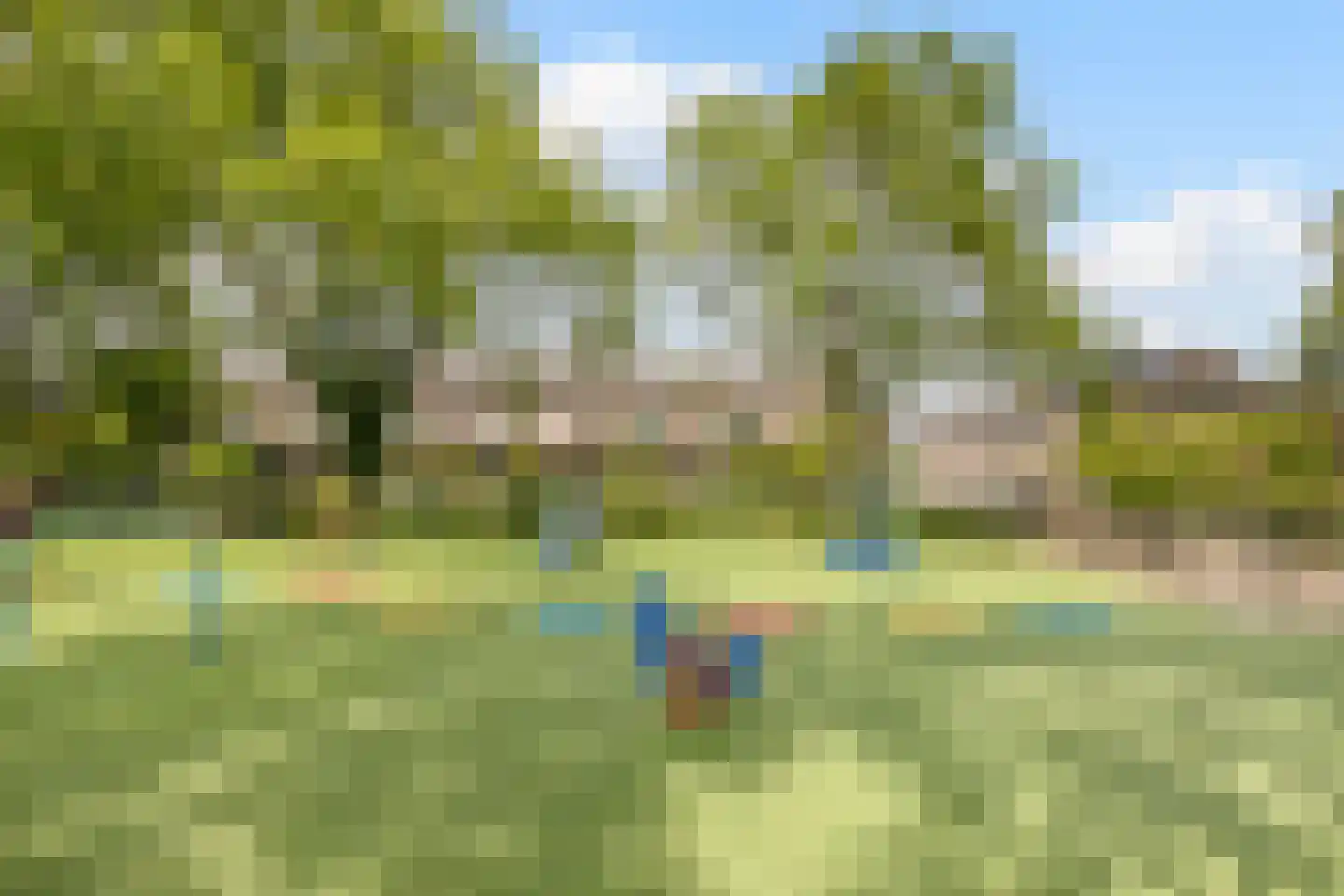 Lindenlaan 5 Driebruggen thumbnail 44