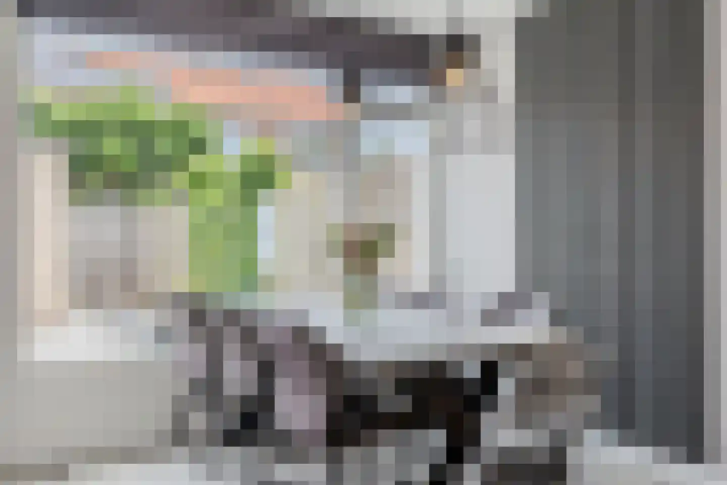 Lindenlaan 5 Driebruggen thumbnail 5