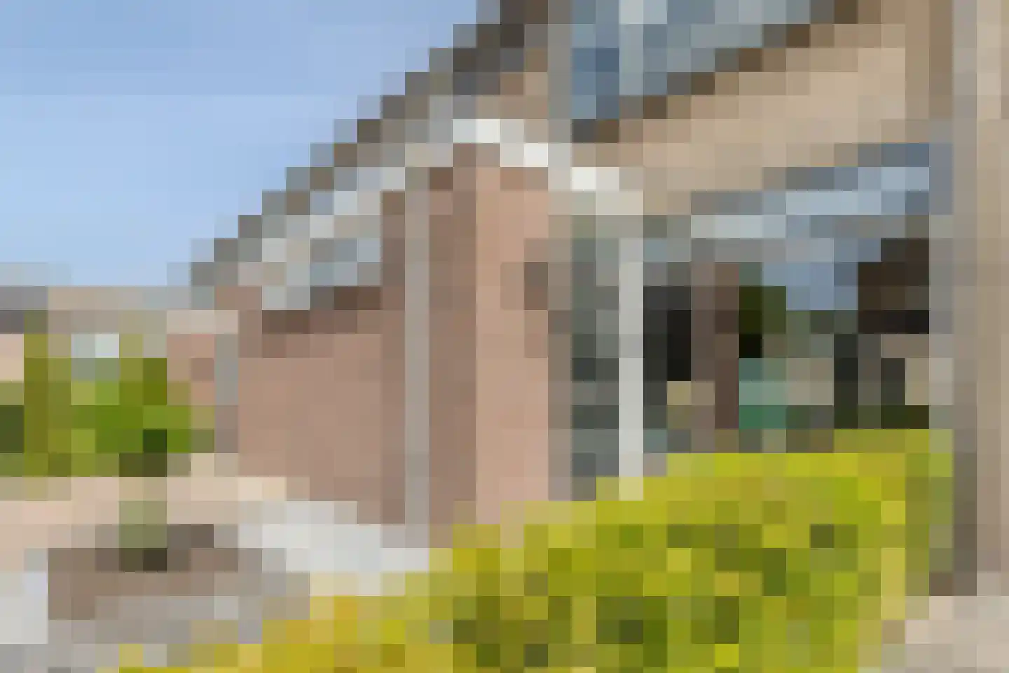 Lindenlaan 5 Driebruggen thumbnail 7