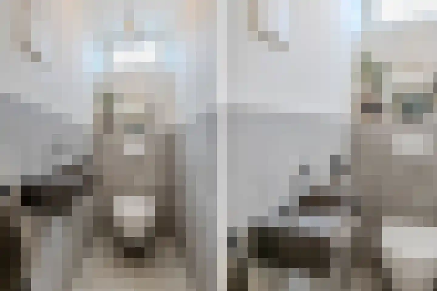 Lindenlaan 5 Driebruggen thumbnail 9