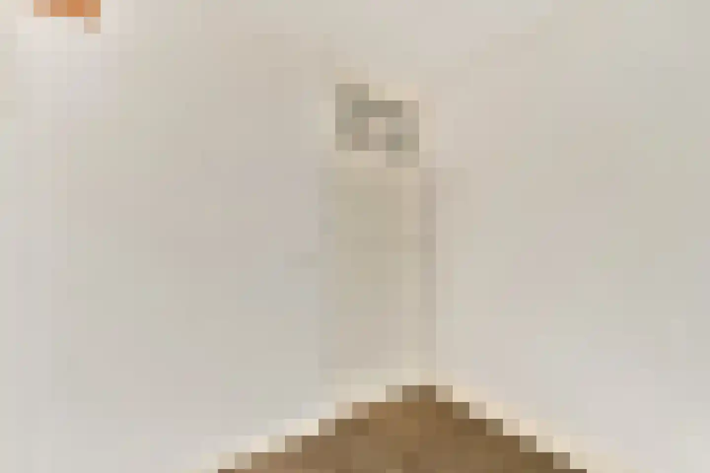 Lindenlaan 5 Sassenheim thumbnail 19